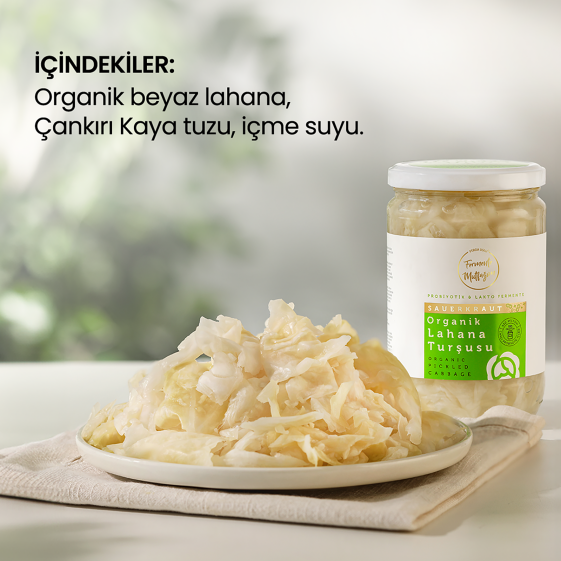 Organic Probiotic Pickled Cabbage 210 ml - 6